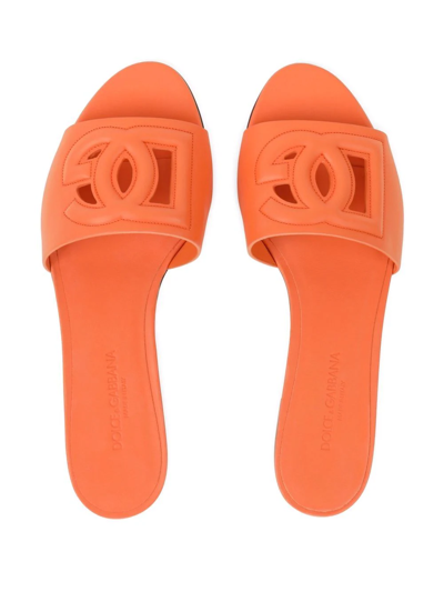 Dolce & Gabbana Slide Sandals In Orange Leather With Logo In Orange
