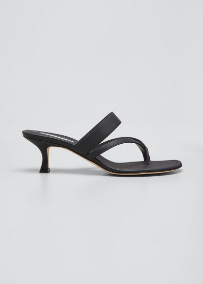 Shop Manolo Blahnik Susa Slide Sandals In Black