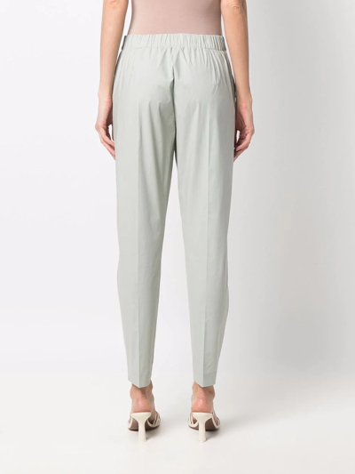 Le Tricot Perugia Contrast-waist Tapered Trousers In Grün