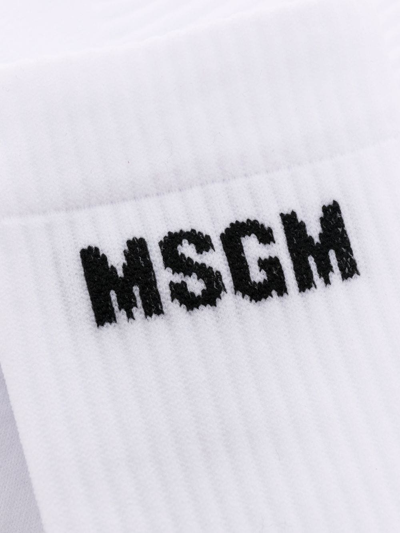 Shop Msgm Logo-print Ribbed Socks In White