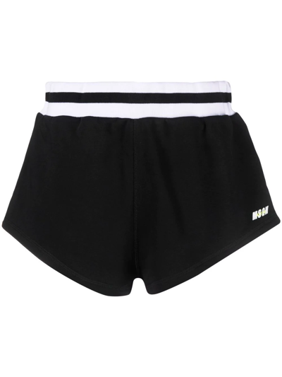 Shop Msgm Logo-print Track Shorts In Black