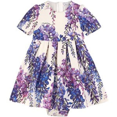 Shop Dolce & Gabbana Purple Geranium Dress Baby Body