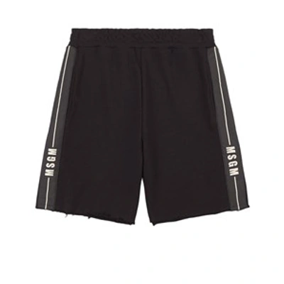 Msgm Black Bermuda Shorts With White Print In Black