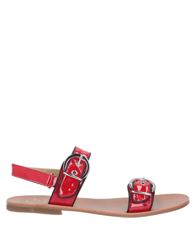 Shop Gallucci Sandals In Red