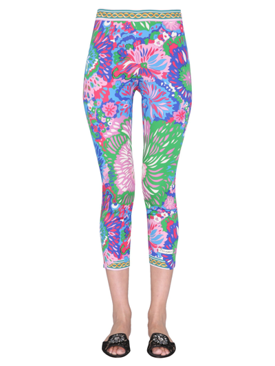 Shop Dolce & Gabbana Floral Print Leggings In Multicolor