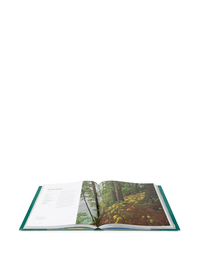 Shop Rizzoli America's Great Forest Trails Hardback Book In Green