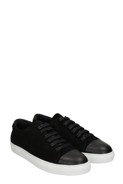 Shop National Standard Edition 3 Sneakers In Black Suede