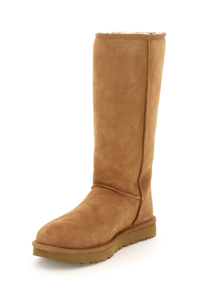 Shop Ugg Classic Tall Ii Boots In Chestnut (beige)