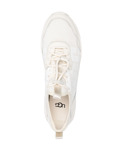 Shop Ugg Sneaker In White