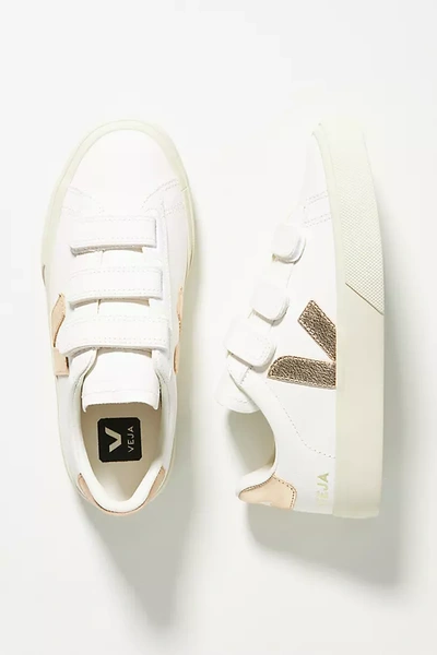 Shop Veja Chromefree Recife Sneakers In Silver