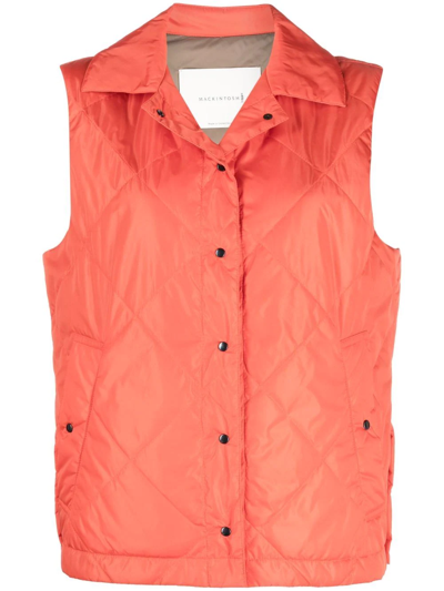 Shop Mackintosh Annabel Quilted Liner Vest In Orange