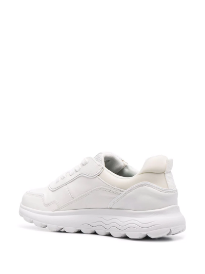 Geox Spherica Low-top Sneakers In Weiss