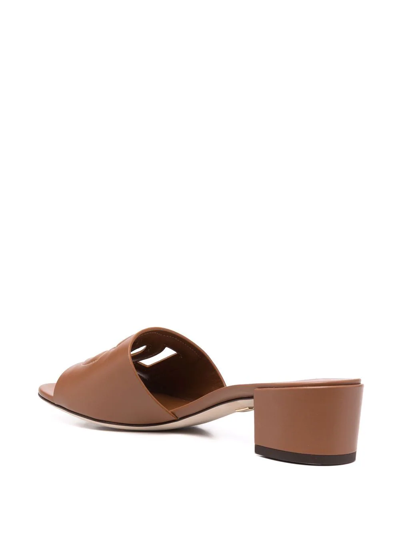 Dolce & Gabbana Bianca 40 Dg Millennials Calf Leather Mules In Braun