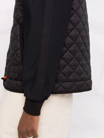 Shop Moose Knuckles Diamond-quilted Puffer Jacket In Schwarz