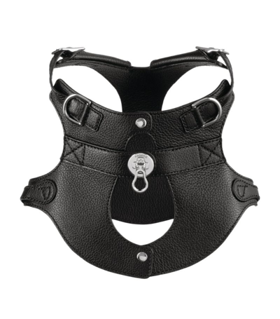 Shop Pagerie Colombo Dog Harness (large)