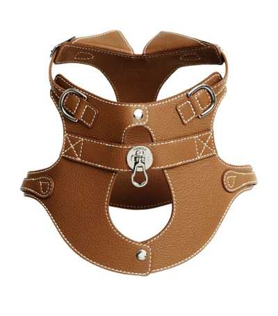 Shop Pagerie Colombo Dog Harness (large)