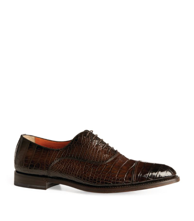 Shop Santoni Crocodile Leather Oxford Shoes In Multi