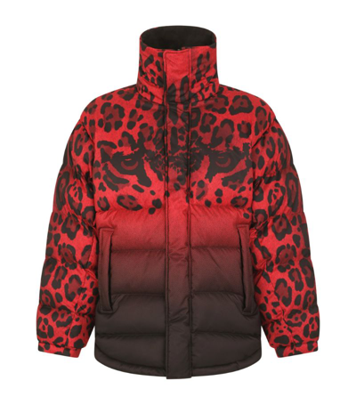 Shop Dolce & Gabbana Leopard-print Quilted Reversible Bomber Jacket In Multi