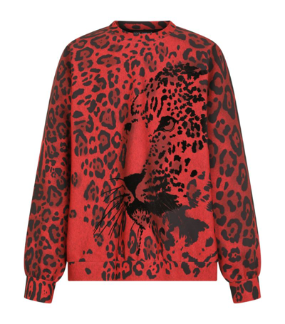 Shop Dolce & Gabbana Leopard Print Sweatshirt In Multi