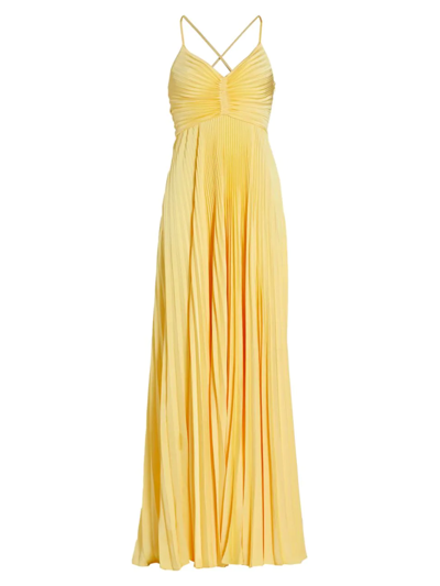 Shop A.l.c Women's Aries Pleated Gown In Riviera