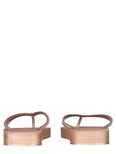 Shop Dsquared2 Rubber Thong Sandals In Rosa