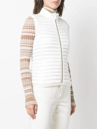 CHARLOTTE 填充马甲