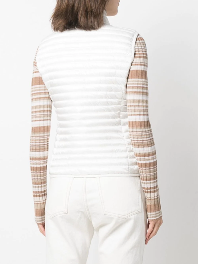 CHARLOTTE 填充马甲