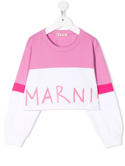 Shop Marni Colour-block Logo Sweatshirt In Pink