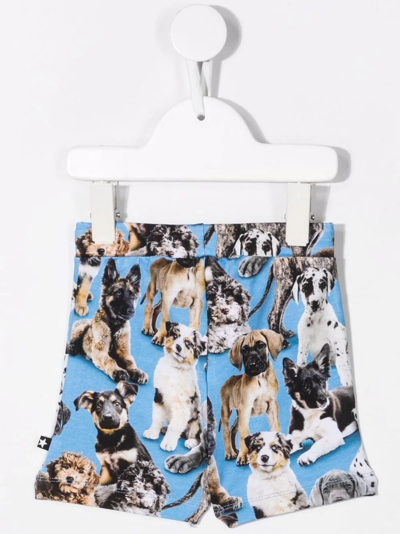 Molo All-over Dog-print Shorts In Blue