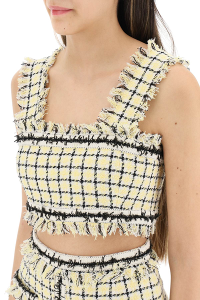 Shop Msgm Tweed Cropped Top In White,black,yellow