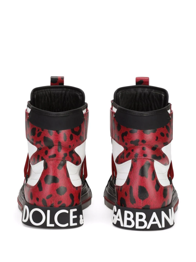 Dolce & Gabbana Men's Cheetah-print Clear-sole High-top Sneakers In Black