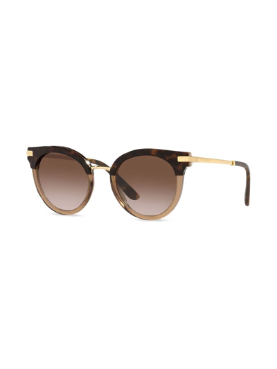 Shop Dolce & Gabbana Cat-eye Frame Sunglasses In Brown