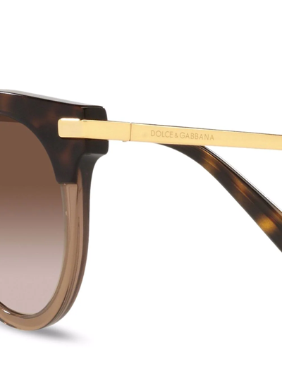 Shop Dolce & Gabbana Cat-eye Frame Sunglasses In Brown
