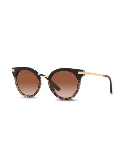Shop Dolce & Gabbana Leopard-print Round Frame Sunglasses In Black