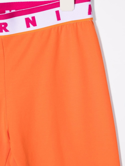 Shop Marni Logo-waistband Leggings In Orange