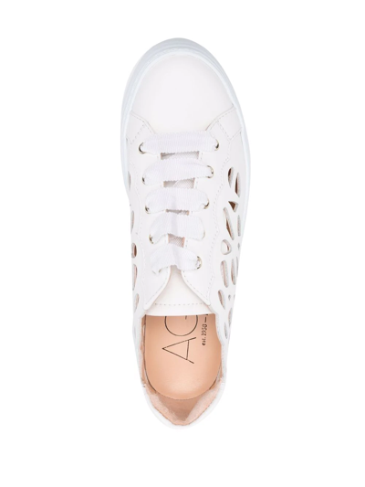 Shop Agl Attilio Giusti Leombruni Laser-cut Detail Sneakers In White