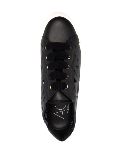 Shop Agl Attilio Giusti Leombruni Laser-cut Leather Sneakers In Black