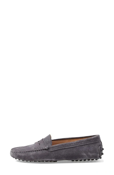 Tod's Gommino Penny Bar Driving Shoes In Grey Suede