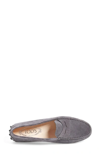 Tod's Gommino Penny Bar Driving Shoes In Grey Suede