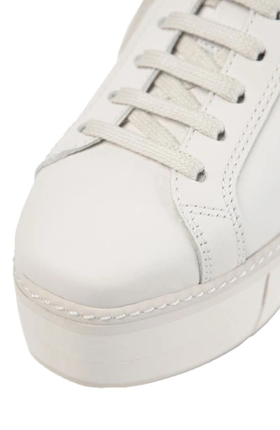 Shop Paloma Barceló Mirande Sneaker In White/ Gesso-taupe