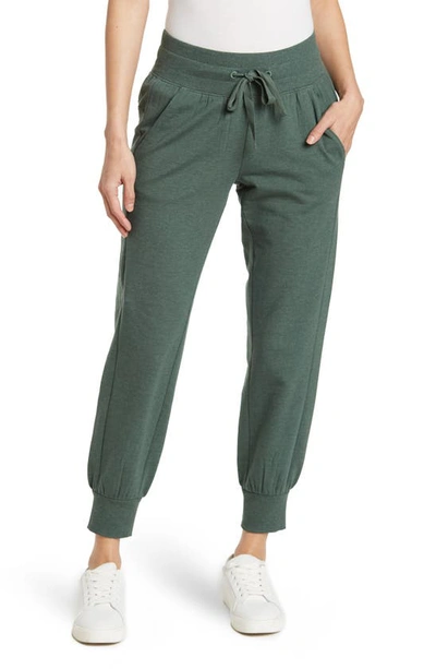 Z By Zella + Replay Slim Fleece Joggers