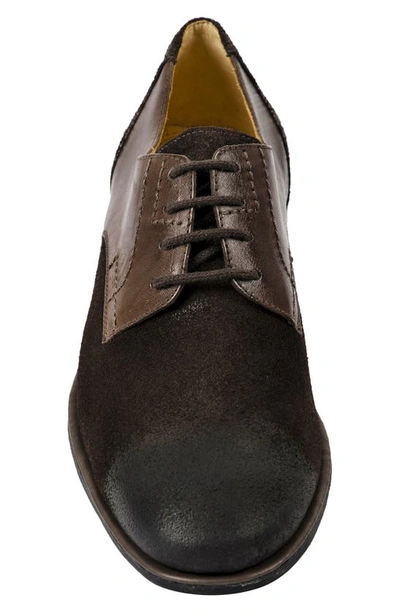 Shop Sandro Moscoloni Plain Toe Leather Derby In Brown