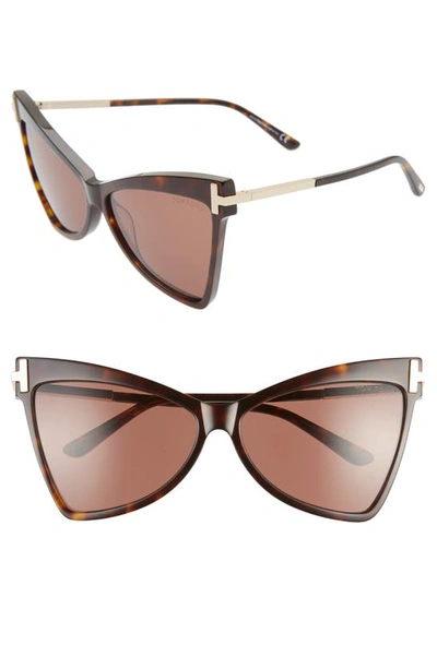 Shop Tom Ford Tallulah 61mm Cat Eye Sunglasses In Dark Havana/ Brown
