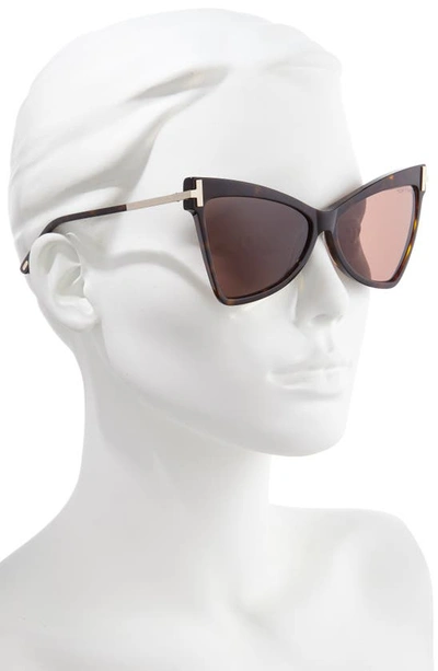 Shop Tom Ford Tallulah 61mm Cat Eye Sunglasses In Dark Havana/ Brown
