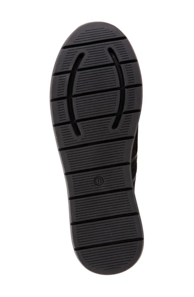 Shop Softwalk Stella Sneaker In Black Nubuck