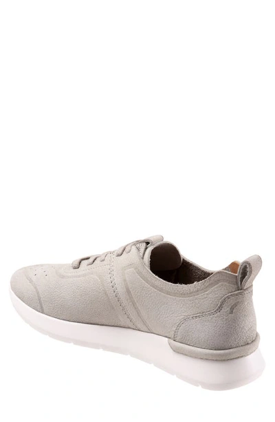 Shop Softwalk Stella Sneaker In Light Grey Nubuck