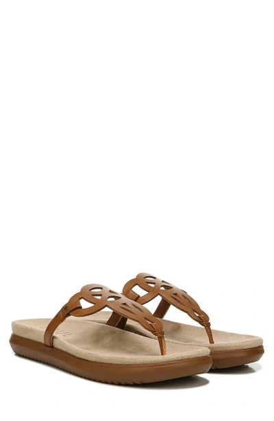 Shop Soul Naturalizer Janice Footbed Sandal In Toffee