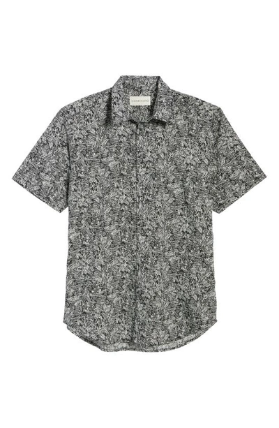 Shop Coastaoro Jungle Regular Fit Print Sport Shirt In Black