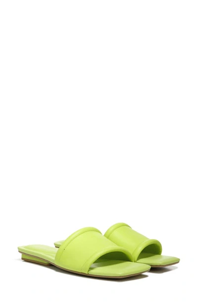 Shop Franco Sarto Caven 3 Slide Sandal In Lime
