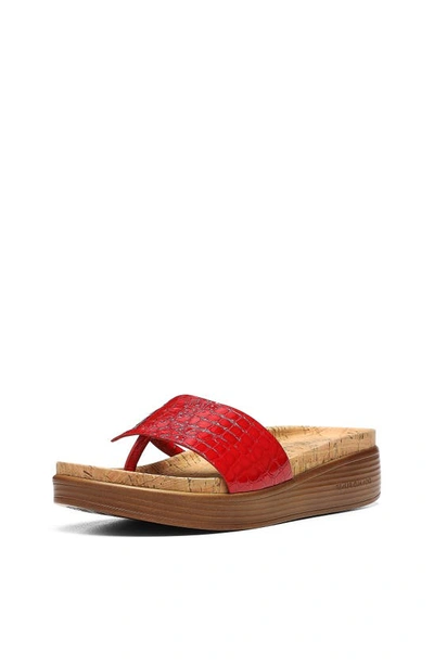 Shop Donald Pliner Fifi Flip Flop In Tomato